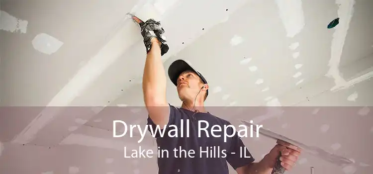 Drywall Repair Lake in the Hills - IL