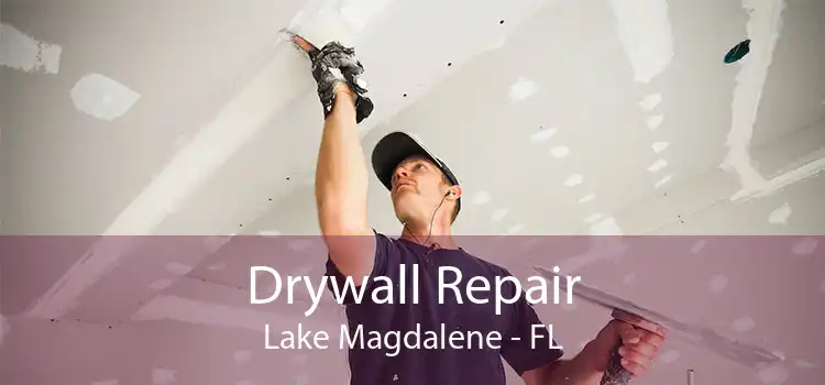 Drywall Repair Lake Magdalene - FL