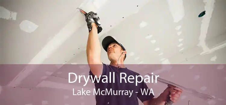 Drywall Repair Lake McMurray - WA
