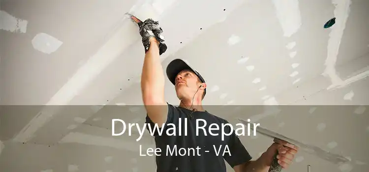 Drywall Repair Lee Mont - VA
