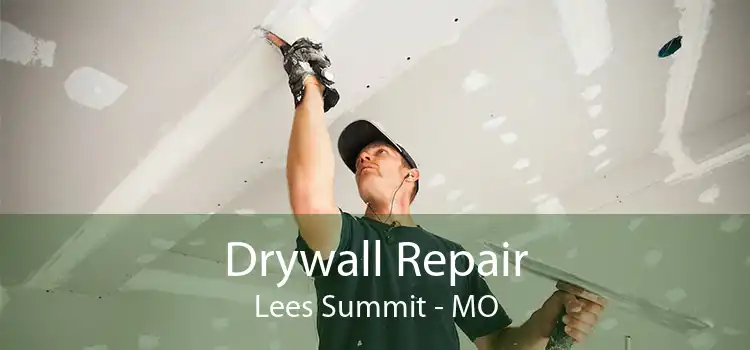 Drywall Repair Lees Summit - MO