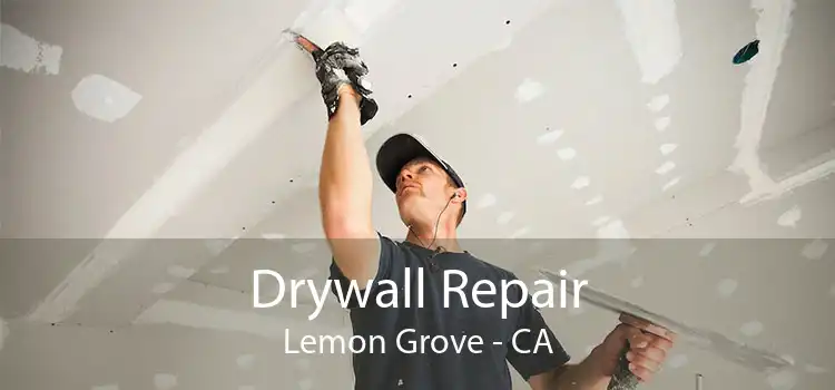 Drywall Repair Lemon Grove - CA