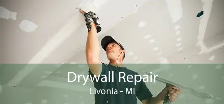 Drywall Repair Livonia - MI