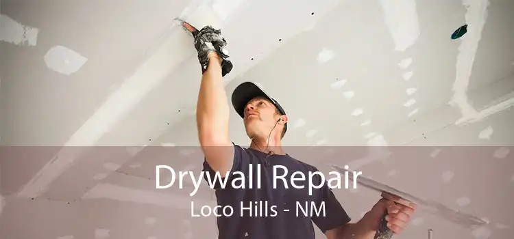 Drywall Repair Loco Hills - NM