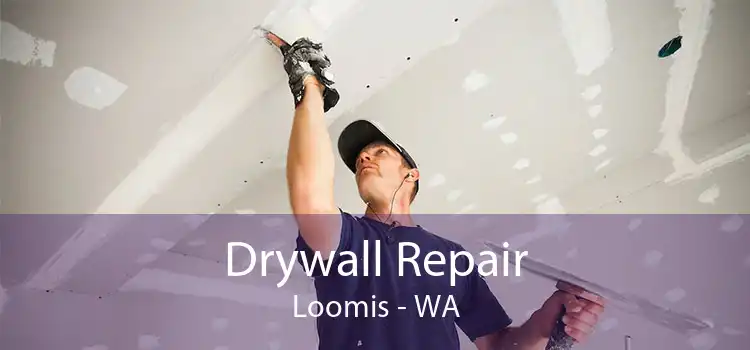 Drywall Repair Loomis - WA