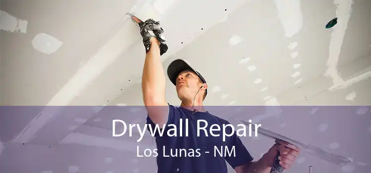 Drywall Repair Los Lunas - NM