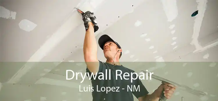Drywall Repair Luis Lopez - NM