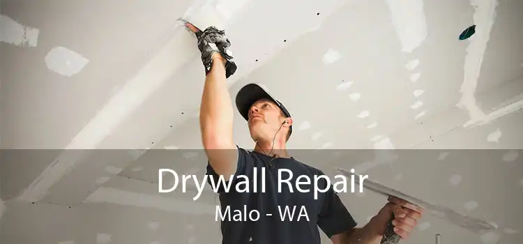 Drywall Repair Malo - WA