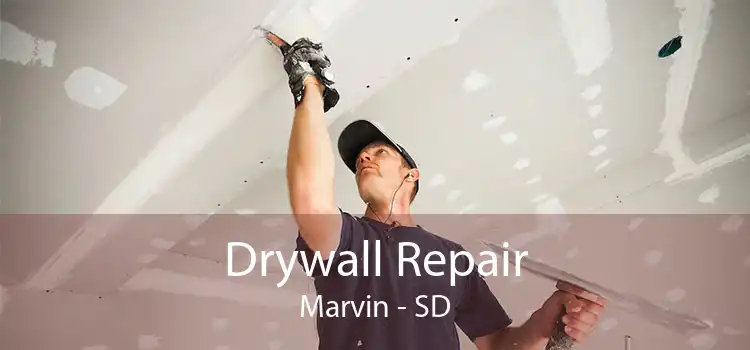 Drywall Repair Marvin - SD