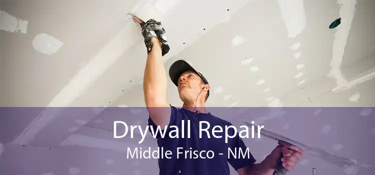 Drywall Repair Middle Frisco - NM