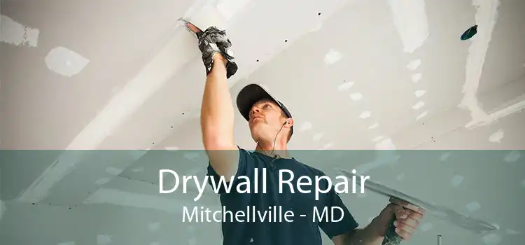 Drywall Repair Mitchellville - MD