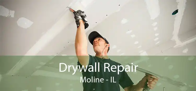 Drywall Repair Moline - IL