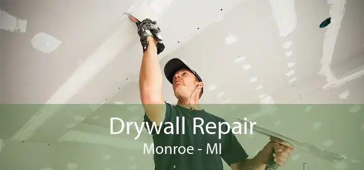Drywall Repair Monroe - MI