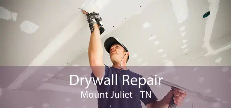 Drywall Repair Mount Juliet - TN