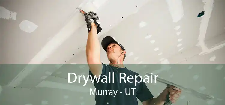 Drywall Repair Murray - UT