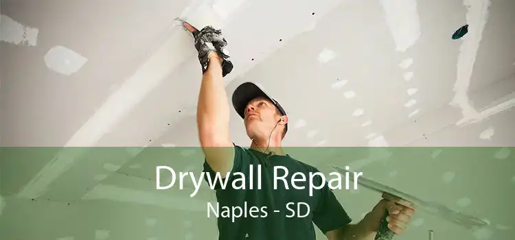 Drywall Repair Naples - SD