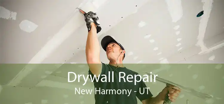 Drywall Repair New Harmony - UT