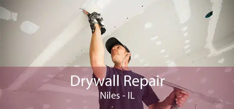 Drywall Repair Niles - IL