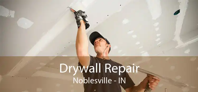 Drywall Repair Noblesville - IN