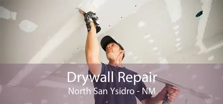 Drywall Repair North San Ysidro - NM