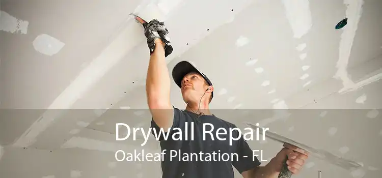 Drywall Repair Oakleaf Plantation - FL