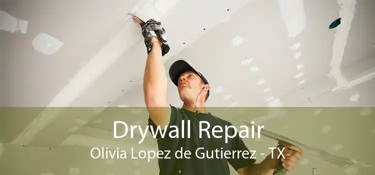 Drywall Repair Olivia Lopez de Gutierrez - TX