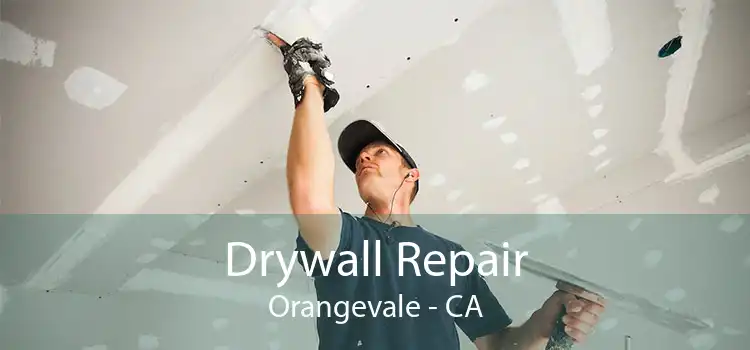 Drywall Repair Orangevale - CA