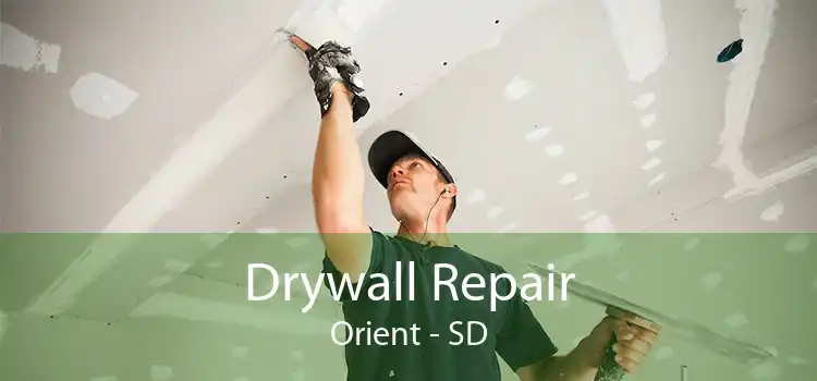Drywall Repair Orient - SD