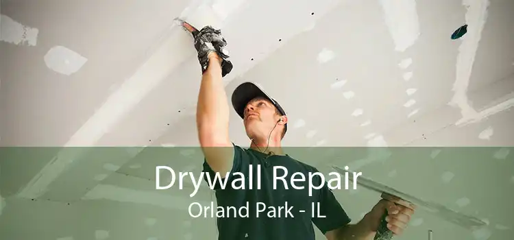 Drywall Repair Orland Park - IL