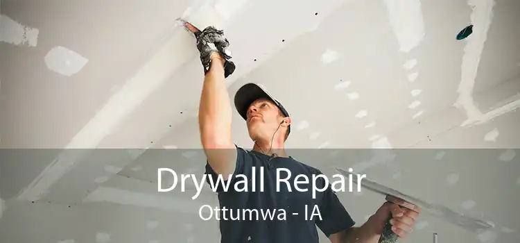 Drywall Repair Ottumwa - IA