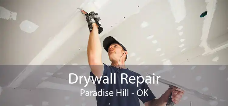 Drywall Repair Paradise Hill - OK