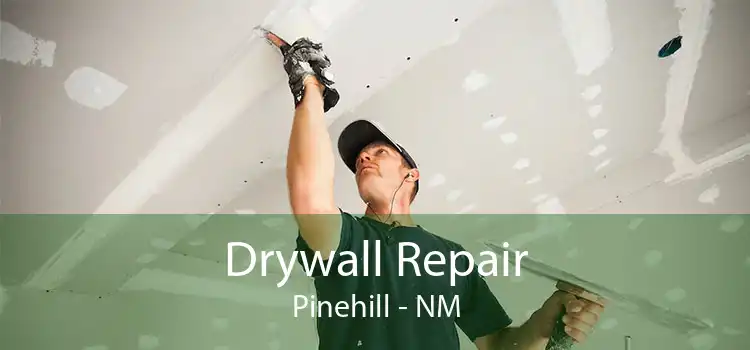 Drywall Repair Pinehill - NM