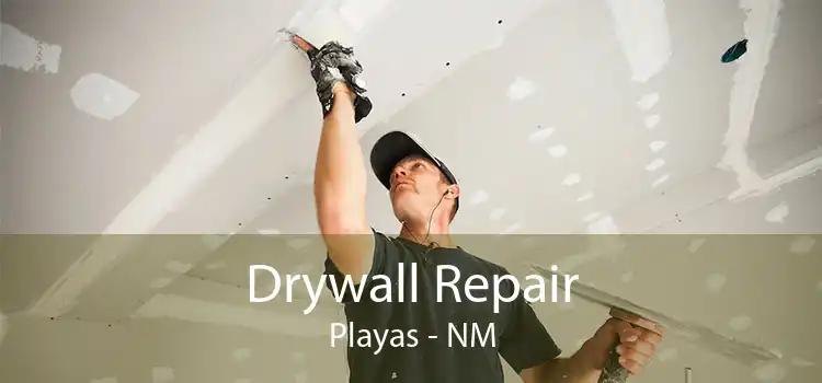 Drywall Repair Playas - NM