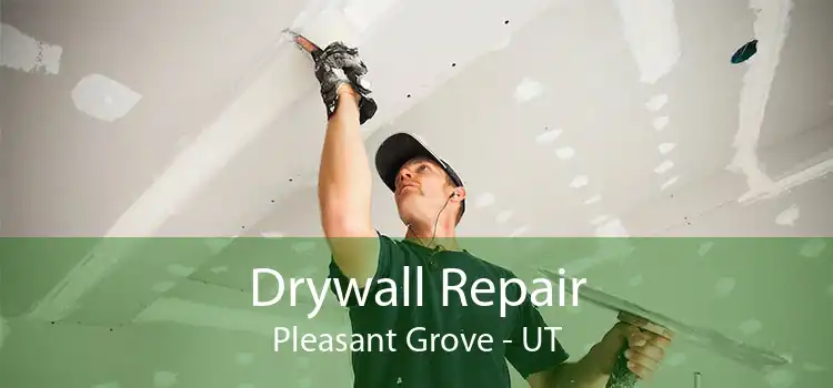 Drywall Repair Pleasant Grove - UT