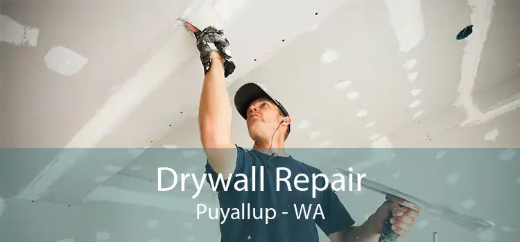 Drywall Repair Puyallup - WA