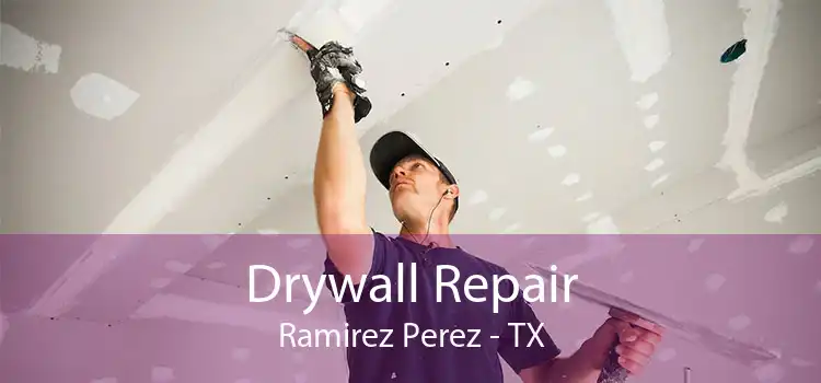 Drywall Repair Ramirez Perez - TX