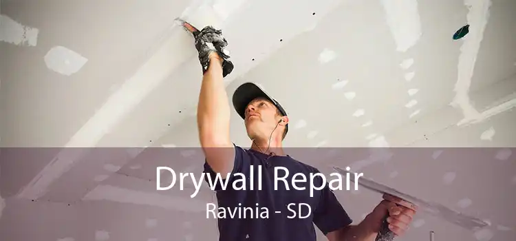 Drywall Repair Ravinia - SD