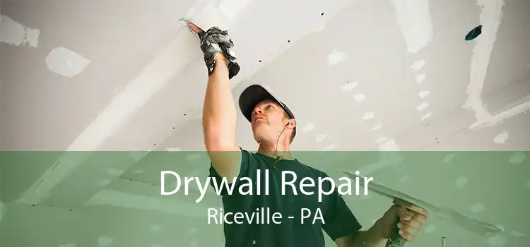Drywall Repair Riceville - PA