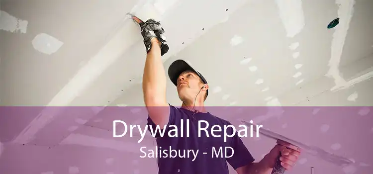 Drywall Repair Salisbury - MD