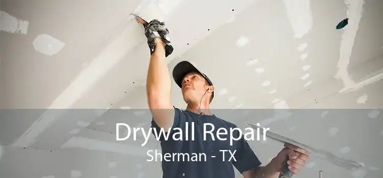 Drywall Repair Sherman - TX