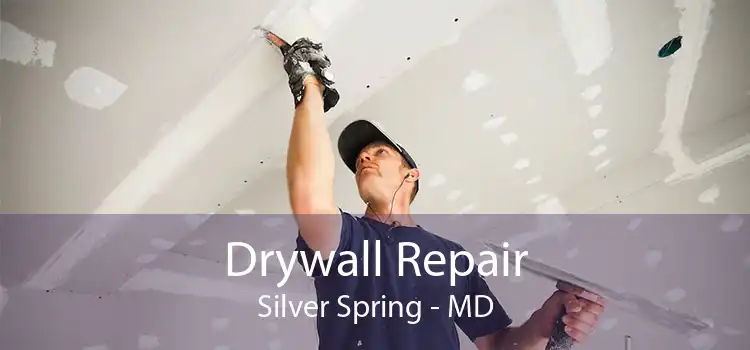 Drywall Repair Silver Spring - MD