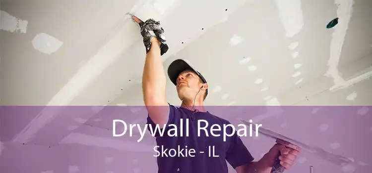Drywall Repair Skokie - IL