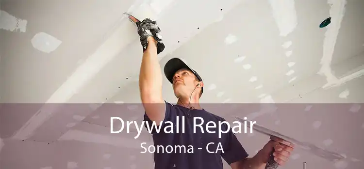 Drywall Repair Sonoma - CA