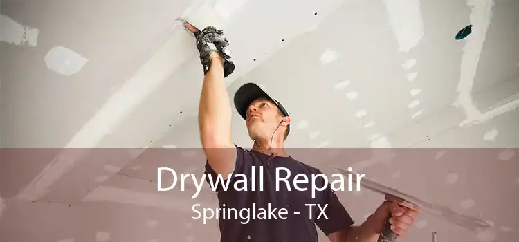 Drywall Repair Springlake - TX
