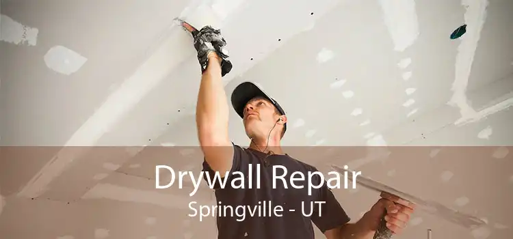 Drywall Repair Springville - UT