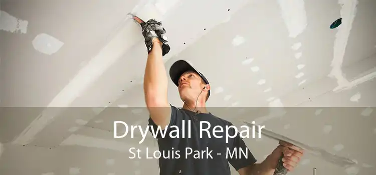 Drywall Repair St Louis Park - MN