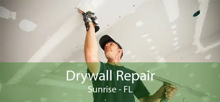 Drywall Repair Sunrise - FL