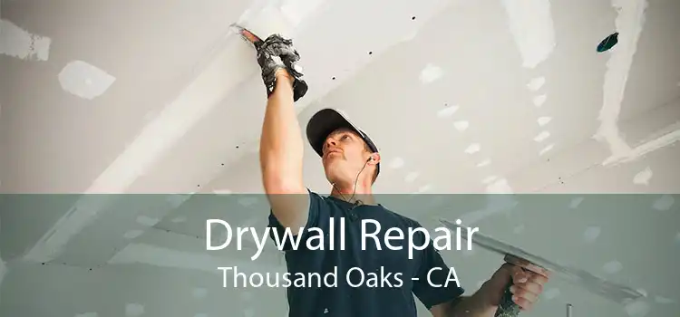 Drywall Repair Thousand Oaks - CA
