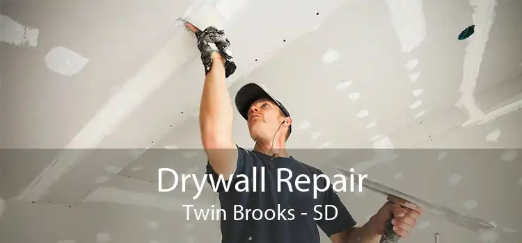 Drywall Repair Twin Brooks - SD