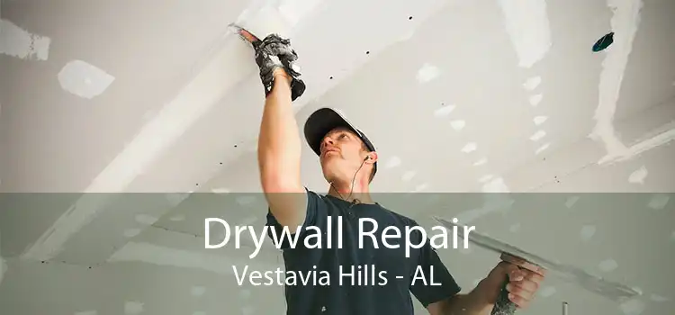 Drywall Repair Vestavia Hills - AL